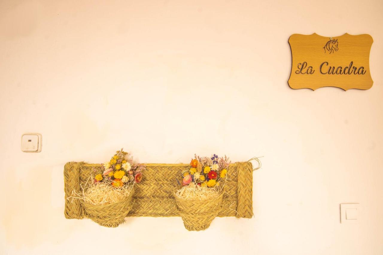 Apartamento La Cuadra En Centro Cordova Esterno foto